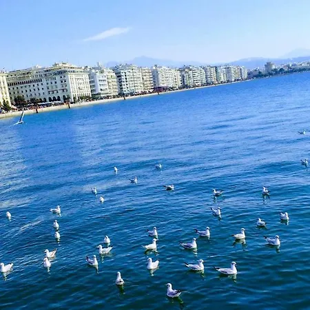 Here Thessaloniki! In The Near The Sea Thessaloniki
